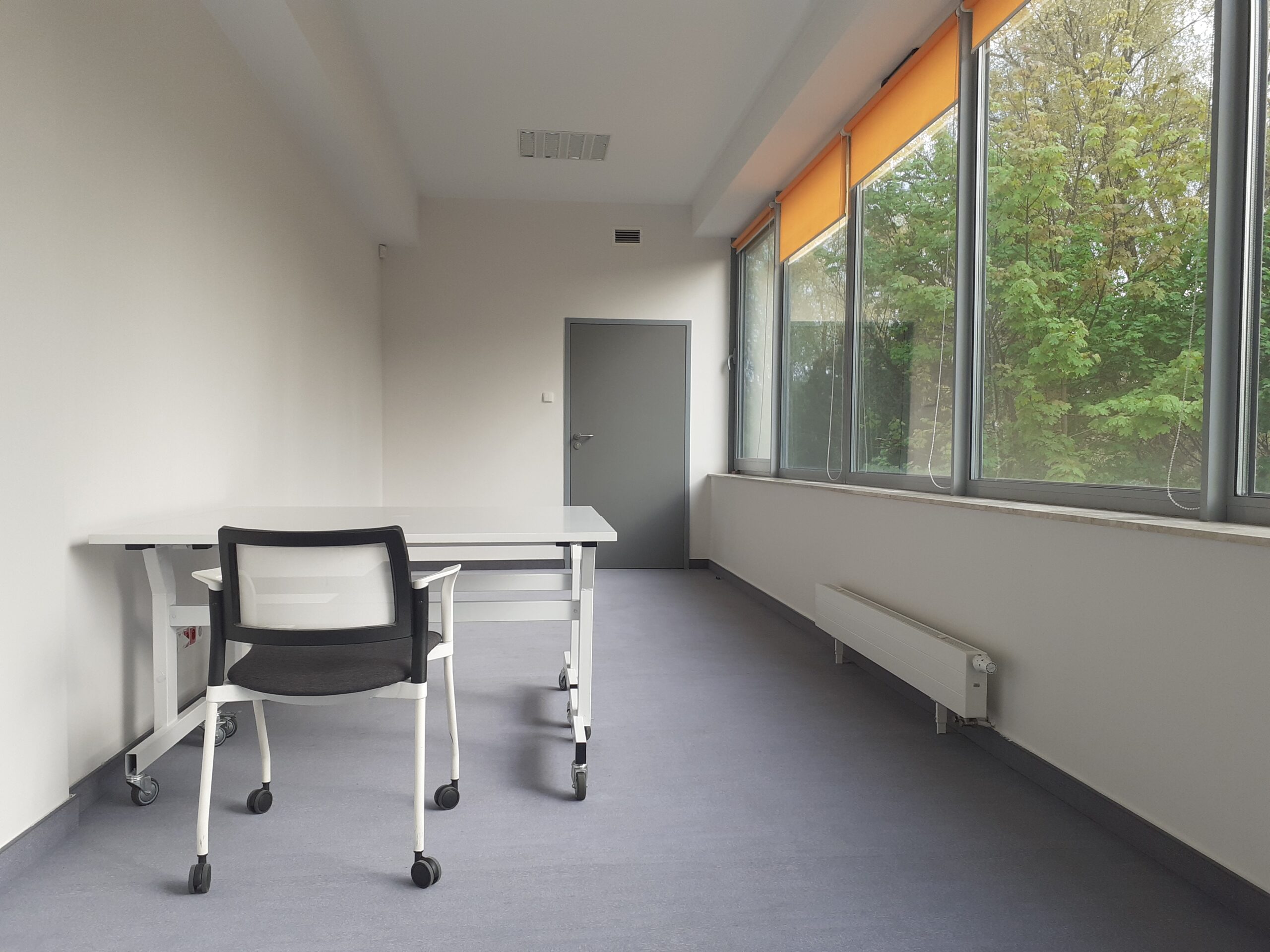 Pośrodku pokoju pod oknami jest grzejnik. Na wprost na krótszej ścianie po prawej stronie widoczne szare drzwi wejściowe.